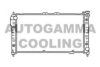 AUTOGAMMA 104176 Radiator, engine cooling